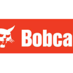 bobcat